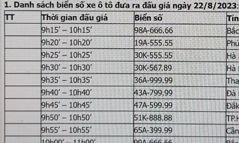 11 biển số xe ô tô siêu đẹp sẽ đấu giá trước ngày 16/9