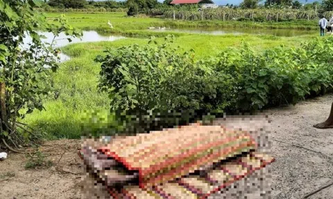 Bình Thuận: Hai chị em gái chết đuối dưới ao gần nhà