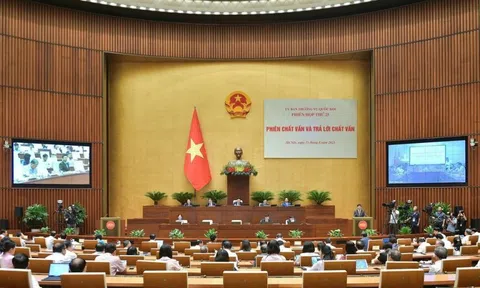 Khắc phục triệt để tình trạng tiêu cực trong hoạt động đấu giá tài sản