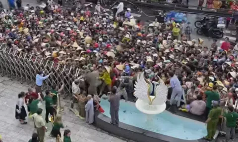 Thông tin mới về vụ hỗn loạn trước cơ sở thẩm mỹ ở TP HCM