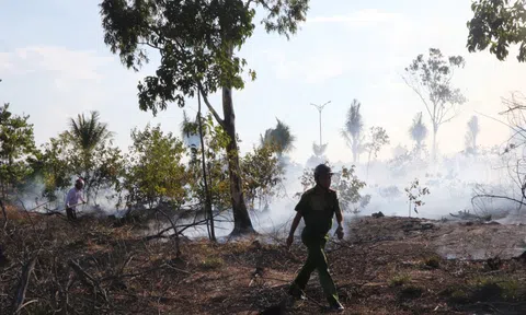 Đốt thực bì, người đàn ông bỏng nặng, bệnh viện trả về lo hậu sự