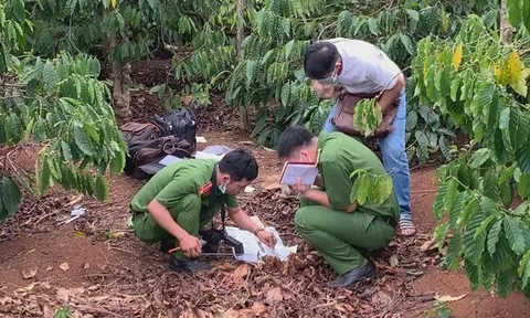 Tá hỏa phát hiện bộ xương người lộ thiên trong vườn cà phê