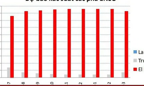 Mùa đông năm nay ấm hơn mọi năm