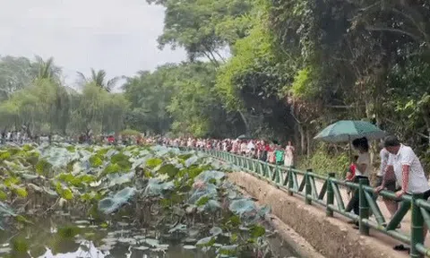 Tết Độc lập hàng triệu trái tim hướng về quê Bác Hồ