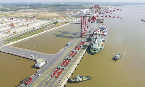 Hội đồng điều phối vùng Đồng bằng sông Cửu Long hoạt động thế nào?