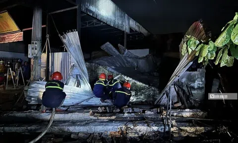 Phó Thủ tướng Trần Lưu Quang gửi lời thăm hỏi, chia buồn trong vụ cháy ở Bình Thuận