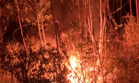 Chữa cháy rừng, 1 người bị chết não vì ngạt khói