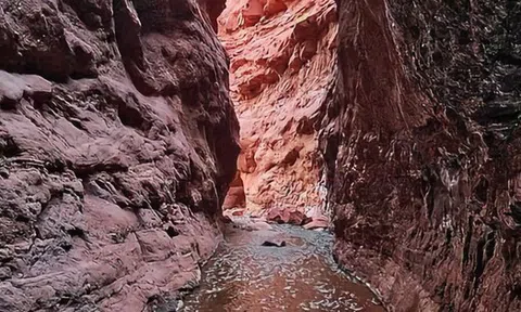 Thoát chết nhờ tính năng “độc” trên iPhone