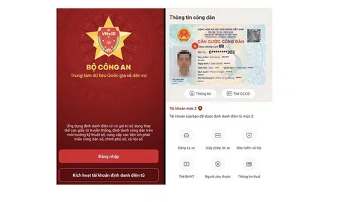 Dùng VNeID thay GPLX khi bị kiểm tra giao thông có được không?