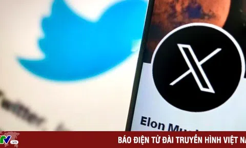 Elon Musk thừa nhận thu thập dữ liệu người dùng X để huấn luyện AI