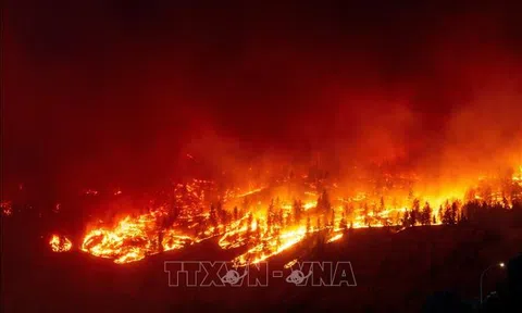 Thủ tướng Canada tức giận vì Facebook chặn tin tức khi cháy rừng lan rộng