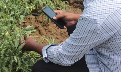 Xu hướng thúc đẩy ứng dụng AI trong sản xuất nông nghiệp