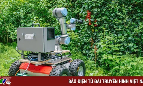 ChatGPT được sử dụng để tạo ra robot thu hoạch nông sản