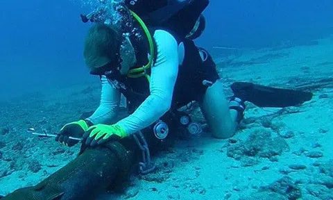 Tuyến cáp quang biển AAE-1 gặp sự cố mới