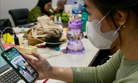 TikTok ngừng bán hàng trực tuyến tại Indonesia sau lệnh cấm mới