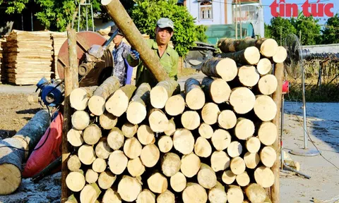 Sẽ ứng dụng công nghệ trong phân loại hồ sơ hoàn thuế