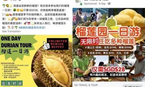 Tải ứng dụng để mua tour du lịch, người phụ nữ nhận được thông báo khóa tài khoản của ngân hàng, mất trắng 2 tỷ đồng, xóa tất cả các ứng dụng ngân hàng vì quá sợ hãi