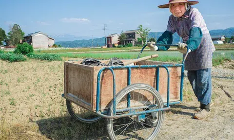Công nghệ như "phim viễn tưởng" của Nhật Bản: Ai già quá không lao động được, chuyển hết cho robot làm thay!
