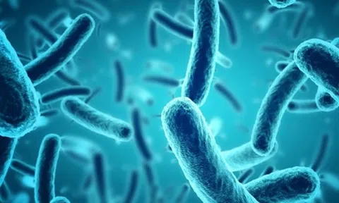 Trung Quốc biến nước thải thành "kho báu" có giá trị cao, nhiều quốc gia rất cần