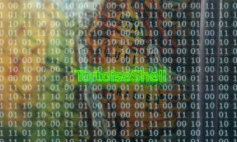 Nhóm APT Tortoiseshell khởi động chiến dịch tấn công mới bằng mã độc IMAPLoader