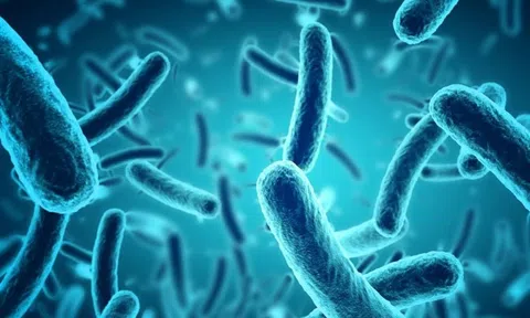 Giới khoa học Trung Quốc biến nước thải thành vật liệu bán dẫn