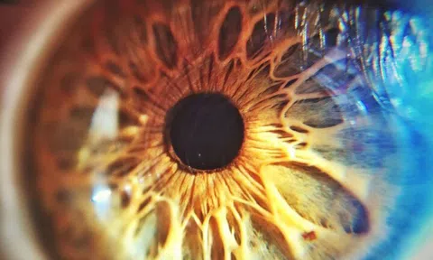 Vì sao mống mắt lại được thu thập làm dữ liệu căn cước công dân?