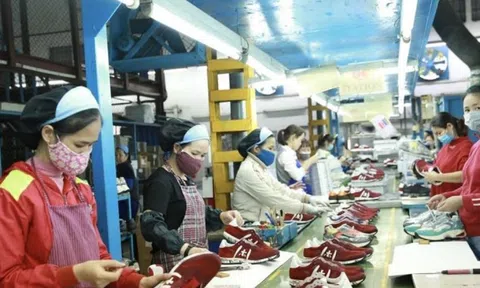 ‘Trái ngọt’ từ kênh xuất khẩu trực tuyến