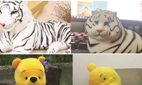 Rủi ro mua hàng trên mạng