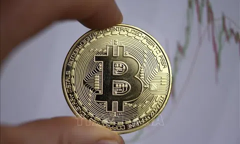 Nhìn lại năm 2023, dự báo năm 2024: Bitcoin vượt qua những thách thức và hoài nghi