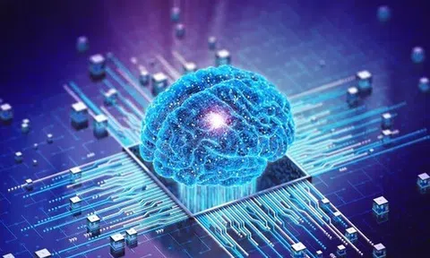 Lần đầu tiên, các nhà khoa học kết hợp AI để tạo ra 'máy tính sinh học'