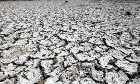 Ấn Độ thử nghiệm ứng dụng trí tuệ nhân tạo trong dự báo thời tiết