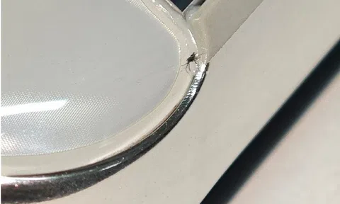 Mở điện thoại mới toanh, nhìn thấy một con bọ bên trong