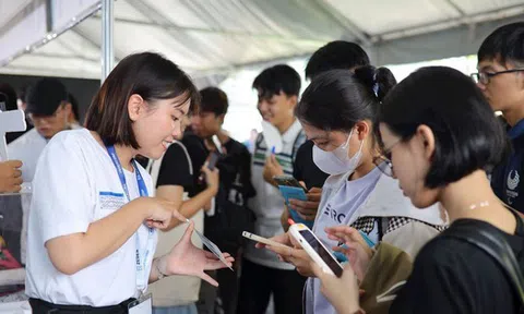 Tránh bị lừa đảo việc làm cận Tết