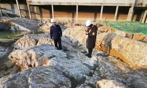 Công trình buộc phải di dời vì đụng trúng bãi ‘đá lạ lấm tấm trắng’, kho báu đã lộ diện nhưng phải dùng những công nghệ cao nhất mới khai thác được