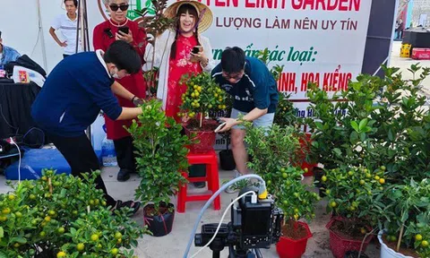 Đua livestream bán hàng Tết