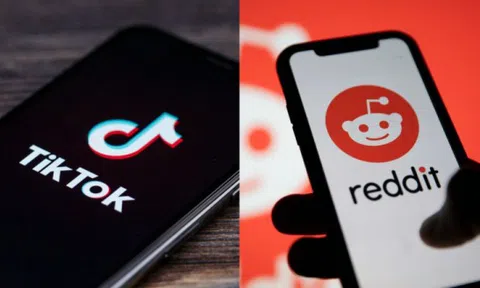 TikTok và Reddit có thể là nền tảng trực tuyến được tìm kiếm nhiều nhất?