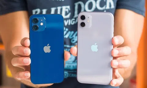 Bộ đôi iPhone mãi vẫn không bị 'khai tử' ở Việt Nam