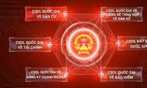 Thủ tướng chỉ thị tiếp tục đẩy mạnh triển khai Đề án 06