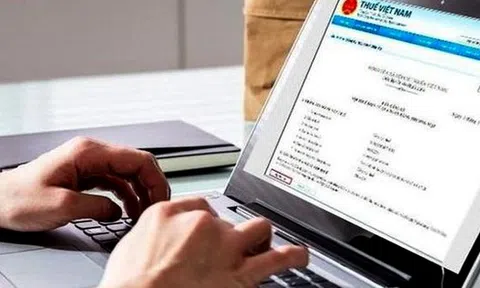 Hướng dẫn cập nhật thông tin Căn cước công dân trong đăng ký thuế