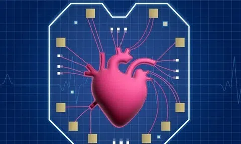 Tiết lộ mới về 'trái tim trong con chip'