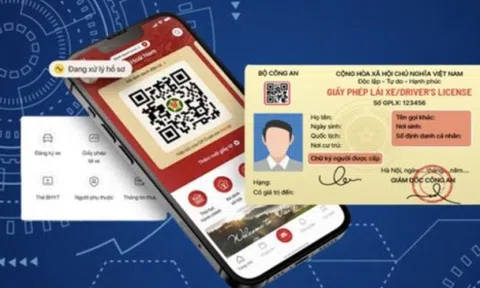 Cách sửa lỗi không thể tích hợp giấy phép lái xe vào ví giấy tờ điện tử trên VNeID