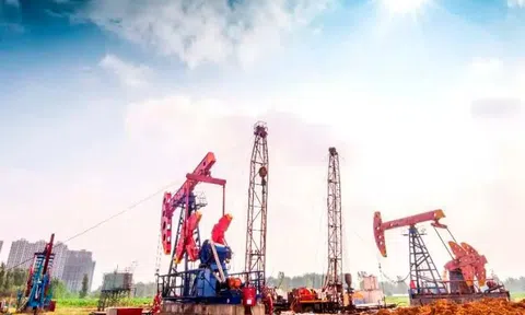 Công trường đột ngột dừng hoạt động vì phát hiện dung dịch đen lạ phun trào liên tục 24h, kho báu khủng lộ diện nhờ công nghệ cao