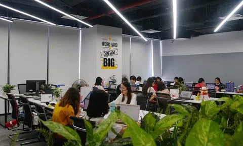 Ngay ở Việt Nam, một nhóm ngành đang nhận lương hơn 125 triệu đồng/tháng