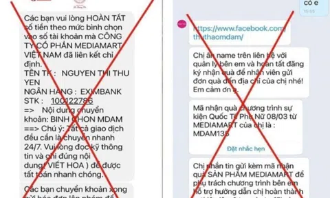 Cảnh giác trò lừa đảo giả danh các sàn thương mại điện tử, siêu thị điện máy