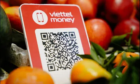 Việt Nam nằm trong top đầu về chuyển đổi thanh toán số ở Đông Nam Á