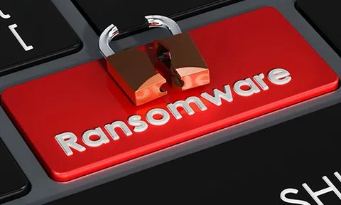 Vì sao các doanh nghiệp Việt Nam liên tục bị tin tặc quốc tế tấn công?