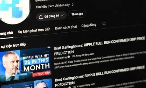 Kẻ đứng sau vụ đánh cắp nhiều tài khoản YouTube nổi tiếng Việt Nam là ai?