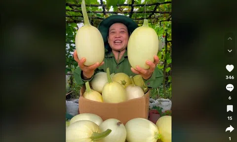 Thu 100 tỷ đồng từ bán nông sản trên nền tảng TikTok