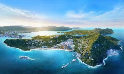 Chân dung tỷ phú Hàn Quốc "nguyện dành phần đời còn lại" cho Bình Định