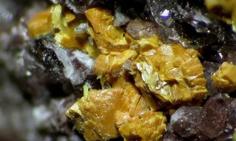 30 giàn khoan thông minh đột ngột dừng ở độ sâu 4.800m, kho ‘’bánh vàng” lạ lần đầu xuất hiện, kết luận đột phá được đưa ra